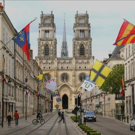 Studio Rue Pietonne Орлеан Екстериор снимка