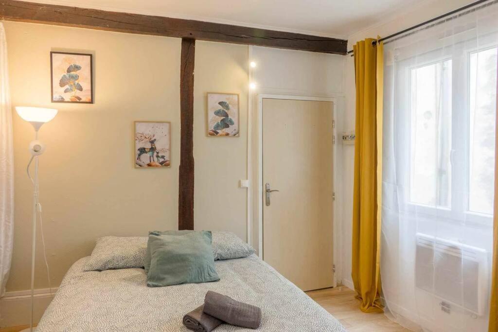 Studio Rue Pietonne Орлеан Екстериор снимка